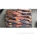 Squid congelado Dosidicus gigas entera redondo 300-500G